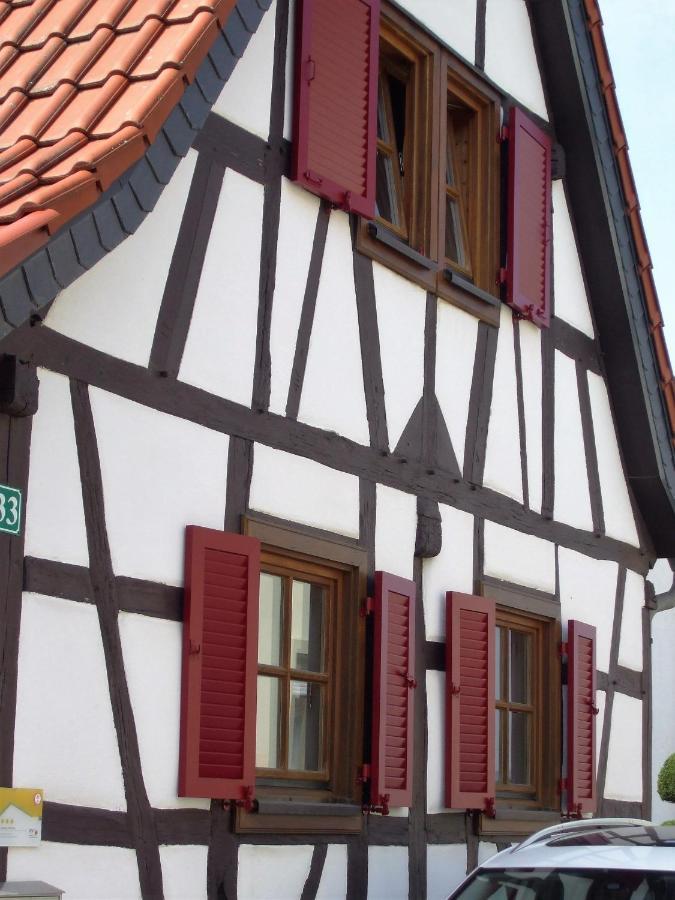 Ferienhaus Pfalzklause Billigheim-Ingenheim Bagian luar foto