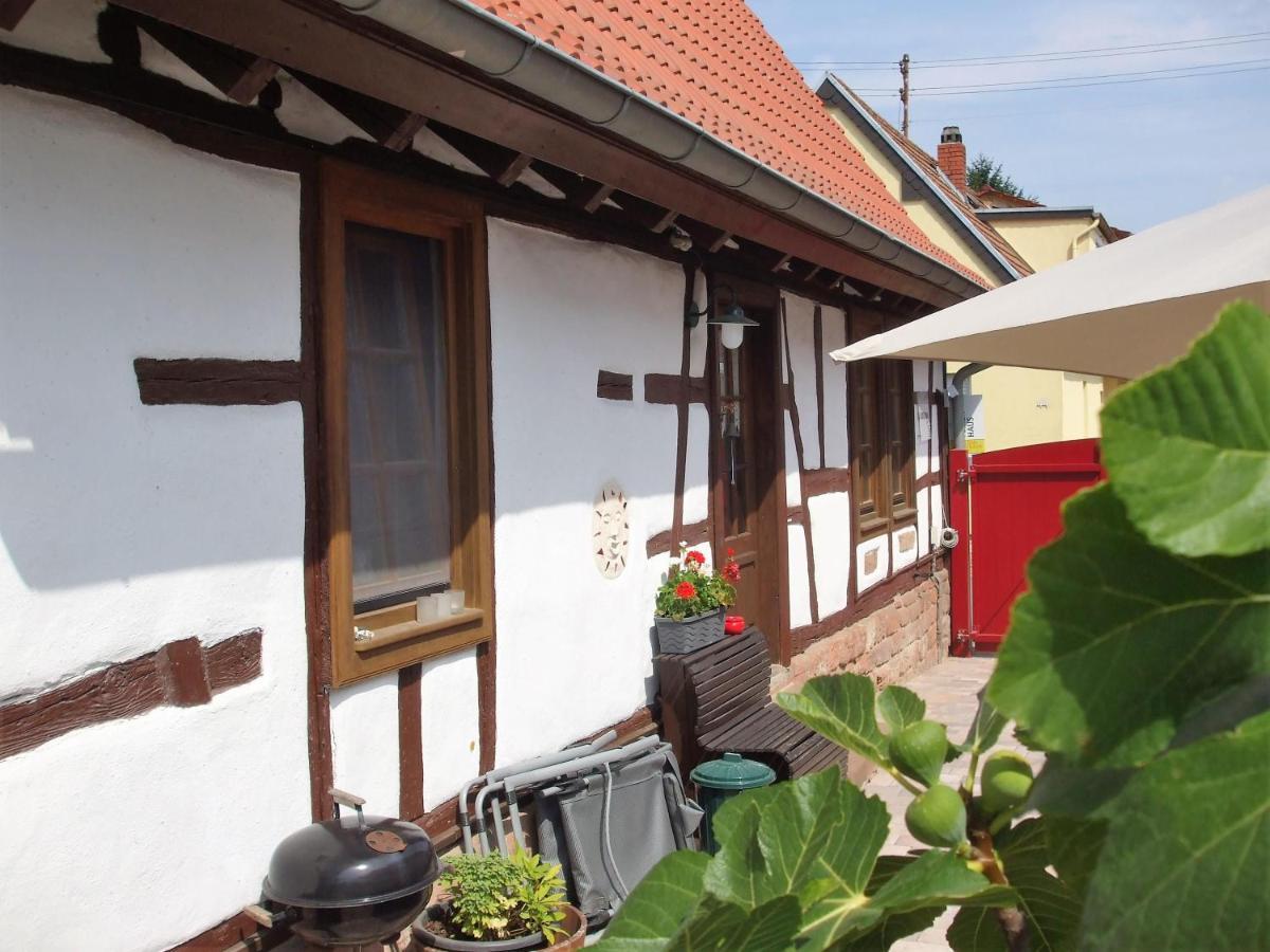 Ferienhaus Pfalzklause Billigheim-Ingenheim Bagian luar foto